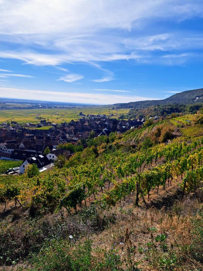 גברשוויר Gite Entre Vignes Et Vergers Maison Historique מראה חיצוני תמונה